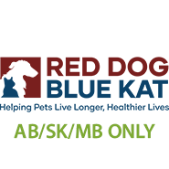 Red Dog Blue Kat